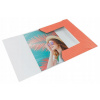 Esselte s gumičkou kartónová A4 Colour`Breeze koralová