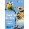Ptáci našich zahrad - Daniela Straußová