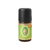 Primavera Éterický olej Fenikel BIO 19% - 5 ml