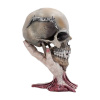 Nemesis Now Metallica Soška Sad But True Skull 22 cm