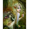 Maľovanie podľa čísel - Víla s krídlami 40 x 50 cm (s rámom)