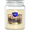 Bispol Aura Maxi Vanilla 500 g