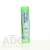 Echinacea Angustifolia gra.1 x 4 g 5CH