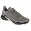 Salomon Alphacross 5 M L47313300 pewter black
