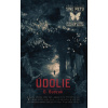 Údolie - D. Budzak