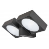 Rabalux Antracitové fasádne LED svietidlo Telde 14W IP54 77101