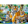 Castorland Tigers by the Stream 1000 dielov