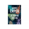 Ze života hmyzu