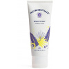NuSkin Brighter Day Exfoliant Scrub 100 ml