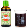 Oční sítnice - bylinné kapky (tinktura) 50 ml - doplněk stravy