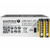 everActive AA 2700 mAh 40ks EVLR6S2IK