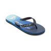 Pánske Žabky QUIKSILVER MOLOKAI ART II AQYL101360-XKBB – Čierna