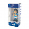 Minix Futbalová Minix Icon Diego Maradona Napoli