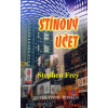 Stínový účet