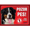 Juko Plastová tabuľa Pozor Pes Bernský Salašnícky 21 x 14,7 cm