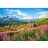 Castorland - Puzzle Hala Gąsienicowa, Vysoké Tatry, Poľsko - 1000 dielov