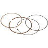 VERTEX 590276000001 VERTEX RINGS ( priemer 76 mm ) (KPL.)