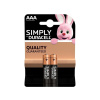 Alkalická batéria Duracell AAA, LR03 14521289