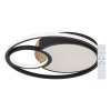 Rabalux Čierne stropné LED svietidlo Leola 480mm 81W CCT s DO 71044