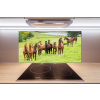 Panel do kuchyne Stádo koní na lúke 100x50 cm