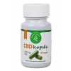 CBD kapsule (600 mg CBD) 60ks