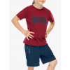 Detské tričko Fjallraven Kids Logo T-shirt - pomegranate red