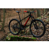 Horský bicykel - Qark Rabbit 29 L (Qark Rabbit 29 L)