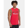 Men's tank top Under Armour Pjt Rock Iron Tank - Men's červená L Under Armour 197779472388
