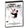 ČAJKOVSKIJ,P.I.: Swan Lake - Labutí Jezero (DVD) (RSO St. Petersburg, Gorkovenko)