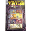 Teenage Mutant Ninja Turtles (IDW) 111A FN 2020