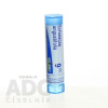 Echinacea Angustifolia gra.1 x 4 g 9CH