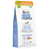Brit Care dog Sust. adult large hmyz a kura 12+2 kg