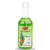Bione Dentamint Ústny sprej Mentol 115 ml