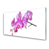 Sklenený obklad Do kuchyne Vstavač orchidea kvety 100x50 cm