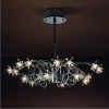 Luxera 1571