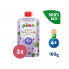 3x SALVEST Põnn BIO Jablko s čučoriedkami (100 g)
