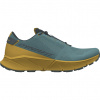 Topánky Dynafit Ultra 100 Running Shoes Men 9