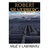 Muž v labyrintu