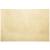 PVC podlaha Rekord Plus Kiruma Golden Beige