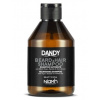 NIAMH DANDY Beard And Hair Shampoo 300ml - Šampón na bradu, fúzy a vlasy