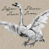 LP Sufjan Stevens: Seven Swans