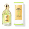 Guerlain Aqua Allegoria Nerolia Vetiver Forte, Parfumovaná voda 75ml pre ženy