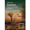 Šumava (Vilém Hrach)
