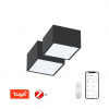 CANTO SADA | IMMAX NEO | Čierne smart LED stropné svietidlo