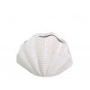 Chic Antique Krémová antik keramická dekorácia váza mušle Shells - 29*15*20 cm - Chic Antique
