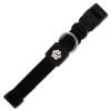 ACTIV DOG obojok Premium