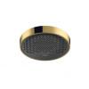 Hansgrohe 26228990 Rainfinity 250 1jet Horná sprcha pod strop, leštený vzhľad zlata HG 26228990