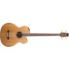 Takamine GB72CE, Rosewood Fingerboard - Natural