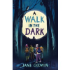 A Walk in the Dark - Jane Godwin