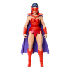 Mattel Figúrka Catra z pôvodnej série Masters of the Universe, 14 cm vysoká